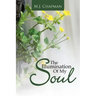 The Illumination of My Soul