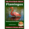My First Book About Flamingos - Amazing Animal Books - Children's Picture Books