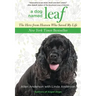Dog Named Leaf: The Hero from Heaven Who Saved My Life