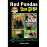 Red Pandas For Kids