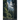 A Viper Lurking In The Dark