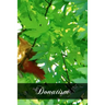 Donatism