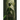 Prayprey World Breaker