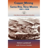 Copper Mining in Santa Rita, New Mexico, 1801-1838: A New Mexico Centennial History Series Book