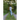 Growing a Runner