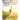 Everything You Need to Know About Yoga and Meditation: Understand the Anatomy and Physiology to Perfect Your Practice