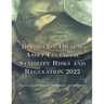 Report on Digital Asset Financial Stability Risks and Regulation 2022