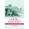 The View from Vesuvius: Italian Culture and the Southern Question Volume 46
