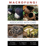 Macrofungi Associated with Oaks of Eastern North America