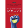 State-Building in Kosovo: Democracy, Corruption and the EU in the Balkans