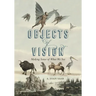 Objects of Vision: Making Sense of What We See