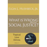 What Is Wrong with Social Justice