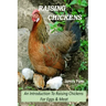 Raising Chickens - An Introduction To Raising Chickens For Eggs & Meat