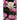 The Last Magnolia: Book Ten