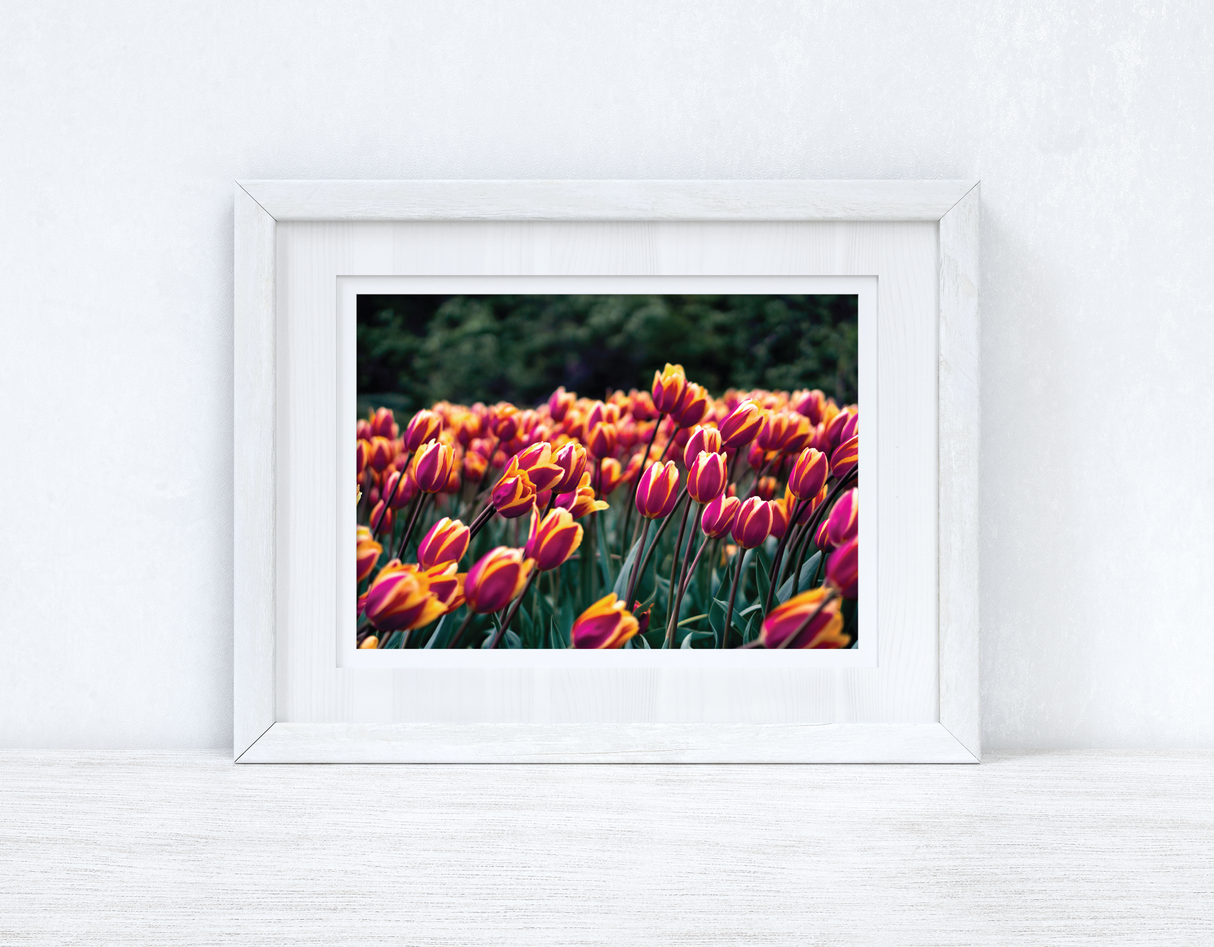 Tulips Spring Photography Spring Seasonal Wall Home Decor Print by WinsterCreations™ Official Store