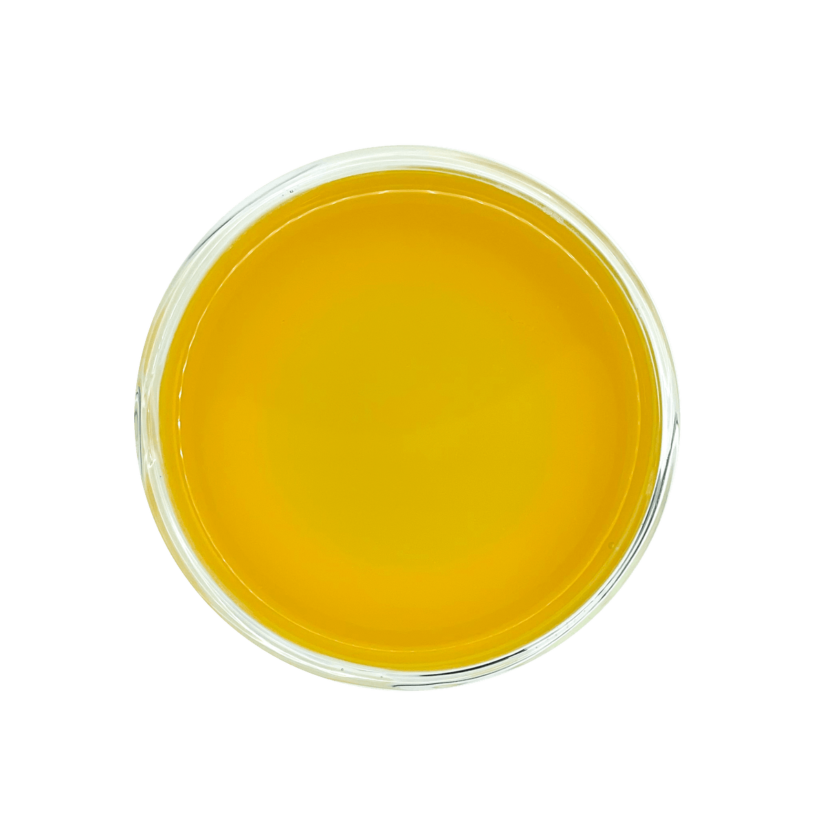 Turmeric Dawn by Open Door Tea CT