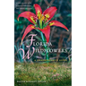 Florida Wildflowers: A Comprehensive Guide