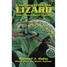 Learning from the Lizard