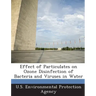 Effect of Particulates on Ozone Disinfection of Bacteria and Viruses in Water