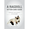 A Ragdoll Kitten Care Guide: Bringing Your Ragdoll Kitten Home