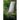 Waterfalls of Virginia & West Virginia: 174 Falls in the Old Dominion and the Mountain State