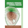 Dirichlet's Principle, Conformal Mapping, and Minimal Surfaces