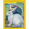 Year of the Rabbit: The EAST Meets WEST Astrological Personality Portrait