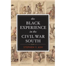 The Black Experience in the Civil War South