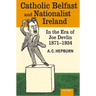 Catholic Belfast and Nationalist Ireland in the Era of Joe Devlin, 1871-1934