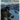 Life Lessons from a Sled Dog
