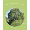 ADHD and OCD Workbook for kids, parents and teachers too