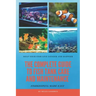 The Complete Guide to Fish Tank Care and Maintenance: Fishkeeping Made Easy