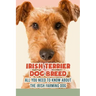 Irish Terrier Dog Breed: All You Need to Know about The Irish Farming Dog: Facts about The Rollicking Terriers of Ireland