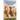 Temples and Concepts in Ancient Egyptian Architecture