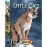 Little Cats