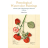 Pomological Watercolor Paintings