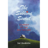 The Sublime Secret: Journey to the Big Picture