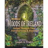 Portals Through Time - Irish Doorways & Windows: Mystical Moods of Ireland, Vol. VI
