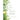 Life After the Diagnosis: Expert Advice on Living Well with Serious Illness for Patients and Caregivers