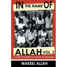 In the Name of Allah Vol. 2: A History of Clarence 13x and the Five Percenters