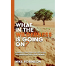 What In The Wilderness Is Going On?: A Guide To Find Your Way Out Of The Wilderness And Into Your Promise