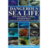Dangerous Sea Life of the West Atlantic, Caribbean, and Gulf of Mexico: A Guide for Accident Prevention and First Aid