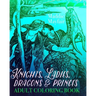 Knights, Ladies, Dragons and Princes Adult Coloring Book: Art Nouveau Illustrations
