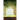 A House Among the Trees