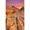 The Icarus Boy