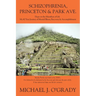 Schizophrenia, Princeton & Park Ave.: Hope on the Marathon of Life, My 60 Year Journey of Mental Illness, Recovery & Accomplishment