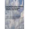 Lone Wolf Terrorism prospects and potential strategies to Address the Threat