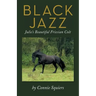 Black Jazz: Julie's Beautiful Friesian Colt