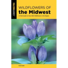 Wildflowers of the Midwest