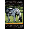 Gypsy Vanner, Gypsy Vanner Horse Training Book for Gypsy Vanner Horses, Horse Care, Horse Training, Horse Grooming, Horse Groundwork, Easy Training, P